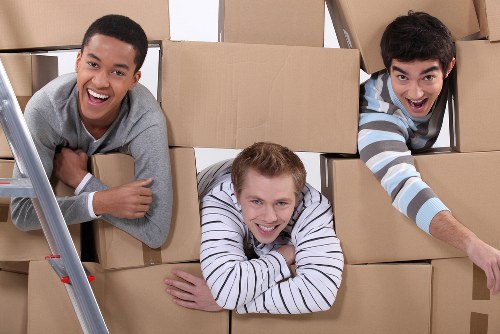 Local removalists assisting with moving day preparation in Primrose Hill