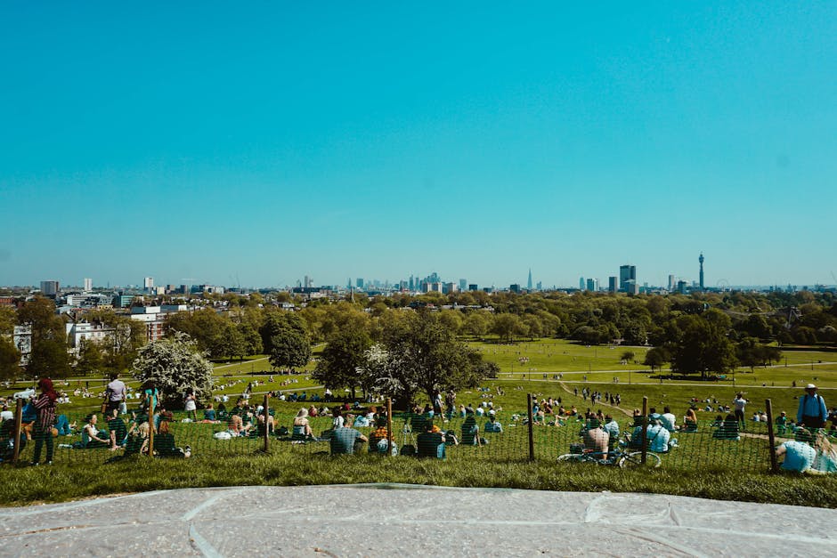 A wide outdoor scene showing a lively park with numerous people sitting and relaxing on the grassy areas, some on blankets or chairs, under the shade of several trees. The park is enclosed by a low wo
