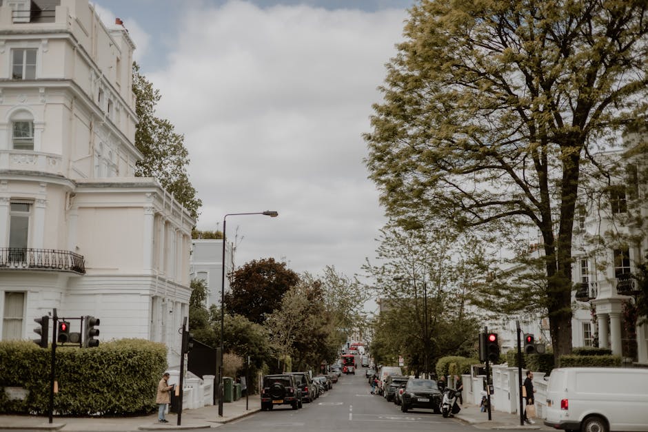 A narrow cobblestone street in Primrose Hill lined with white terraced houses featuring black and white facades, with some houses having black window frames and doors. Greenery, including potted plant