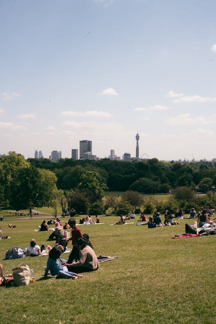 A wide, open park area during daytime featuring a lush green lawn with numerous groups of people sitting on blankets and folding chairs, some engaging in conversation or relaxing. Several trees border the park, providing shade, with others scattered across the area. In the background, a city skyline is visible with multiple high-rise buildings and a prominent telecommunications tower extending upward. The sky above is mostly clear with a few small clouds, and the lighting suggests a bright, sunny day. The scene captures a typical urban park environment where visitors relax outdoors, possibly during leisure or a community event related to house moves or local services, with [COMPANY_NAME] providing household removal and transportation services in NW1, Primrose Hill.
