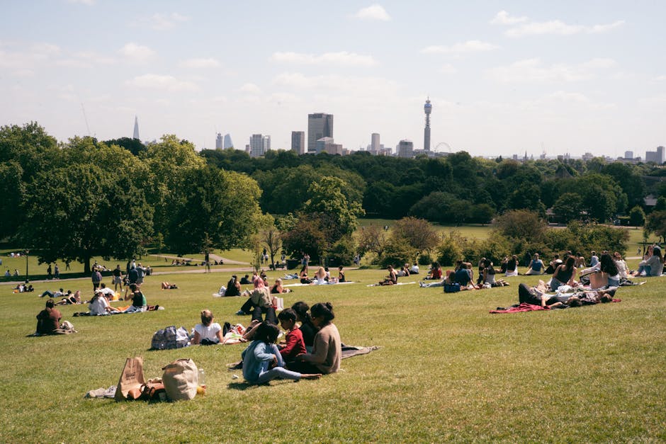 A panoramic view of Primrose Hill Park with a large number of visitors sitting on the grass, some on blankets or folding chairs, enjoying the sunny day under a clear blue sky. Several trees are scatte